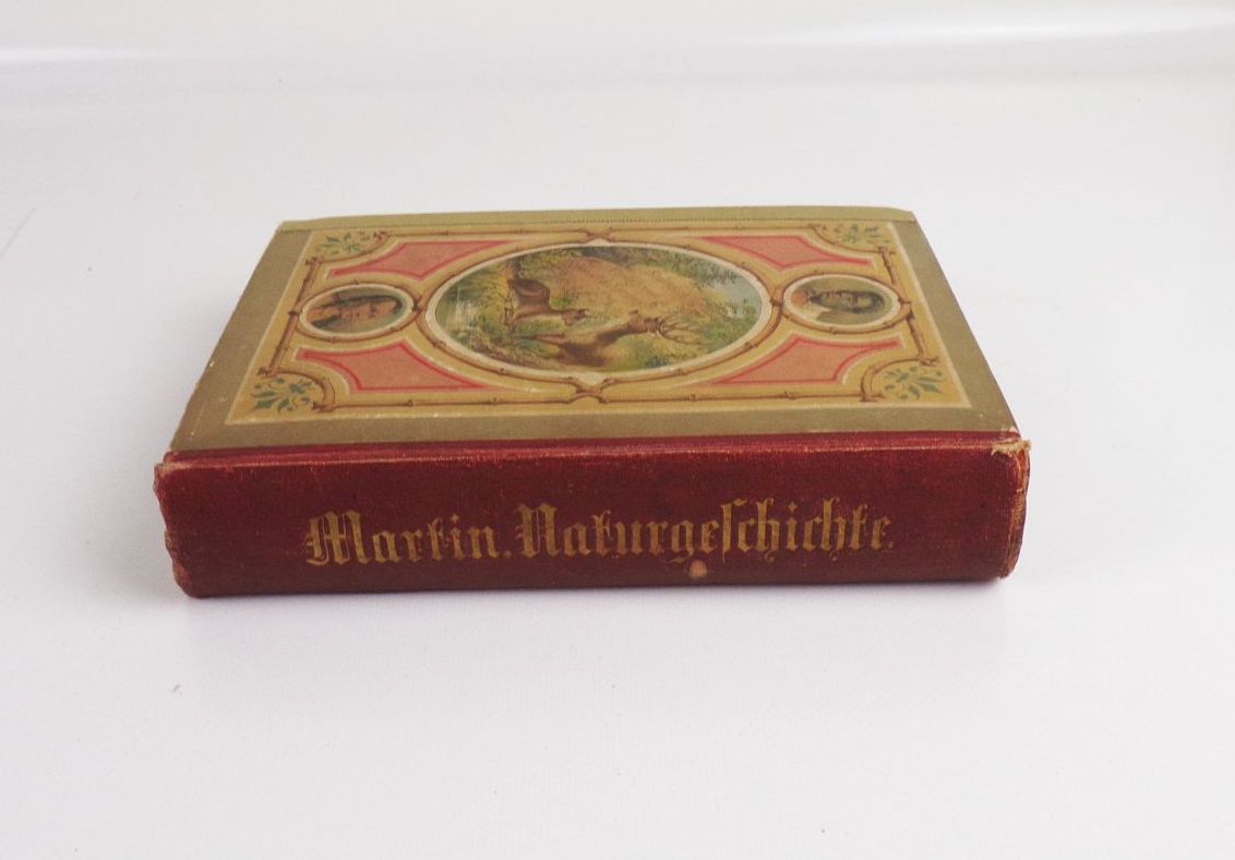 Naturgeschichte für die Jugend beiderlei Geschlechts Martin 1880