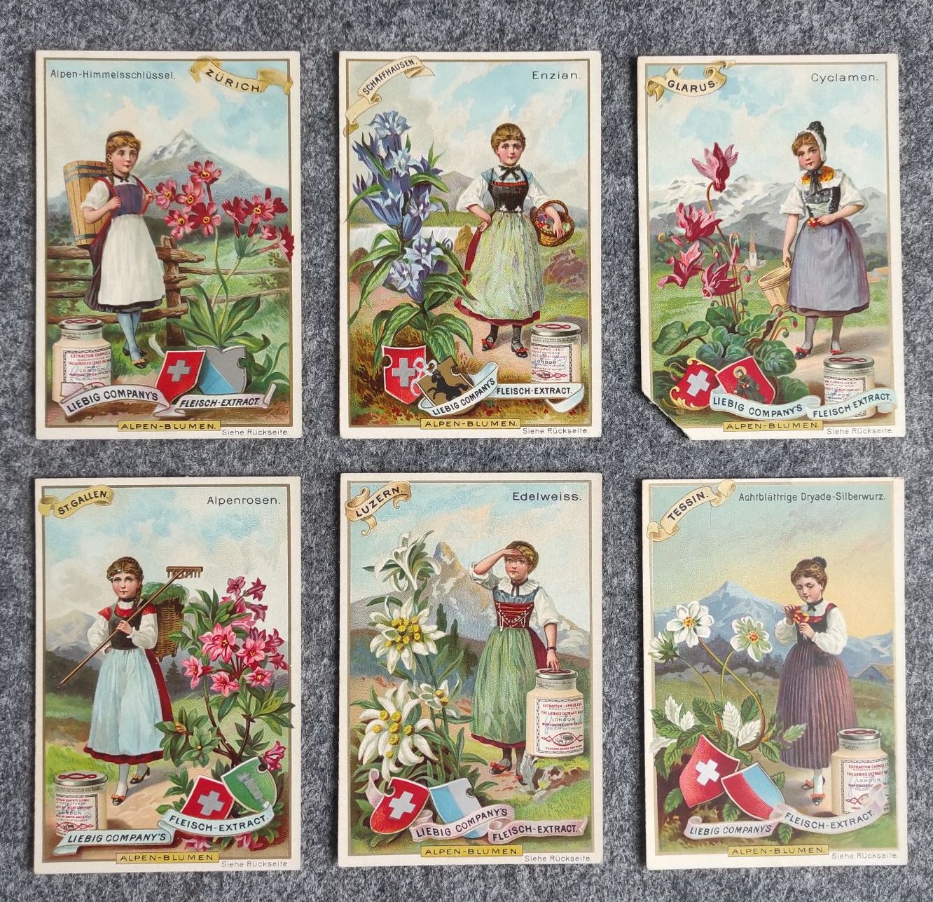 Liebig Bilder Serie Alpen Blumen 6 Sammelbilder Liebig Bilder Serie Alpen Blumen 6 Sammelbilder