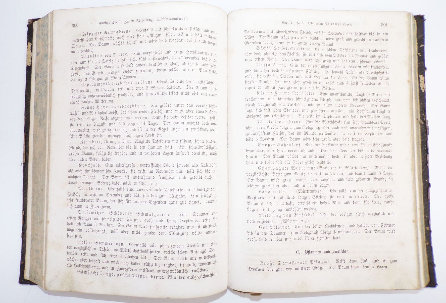 Die Bürgerliche Gartenkunst Handbuch Eduard Schmidlin 1863