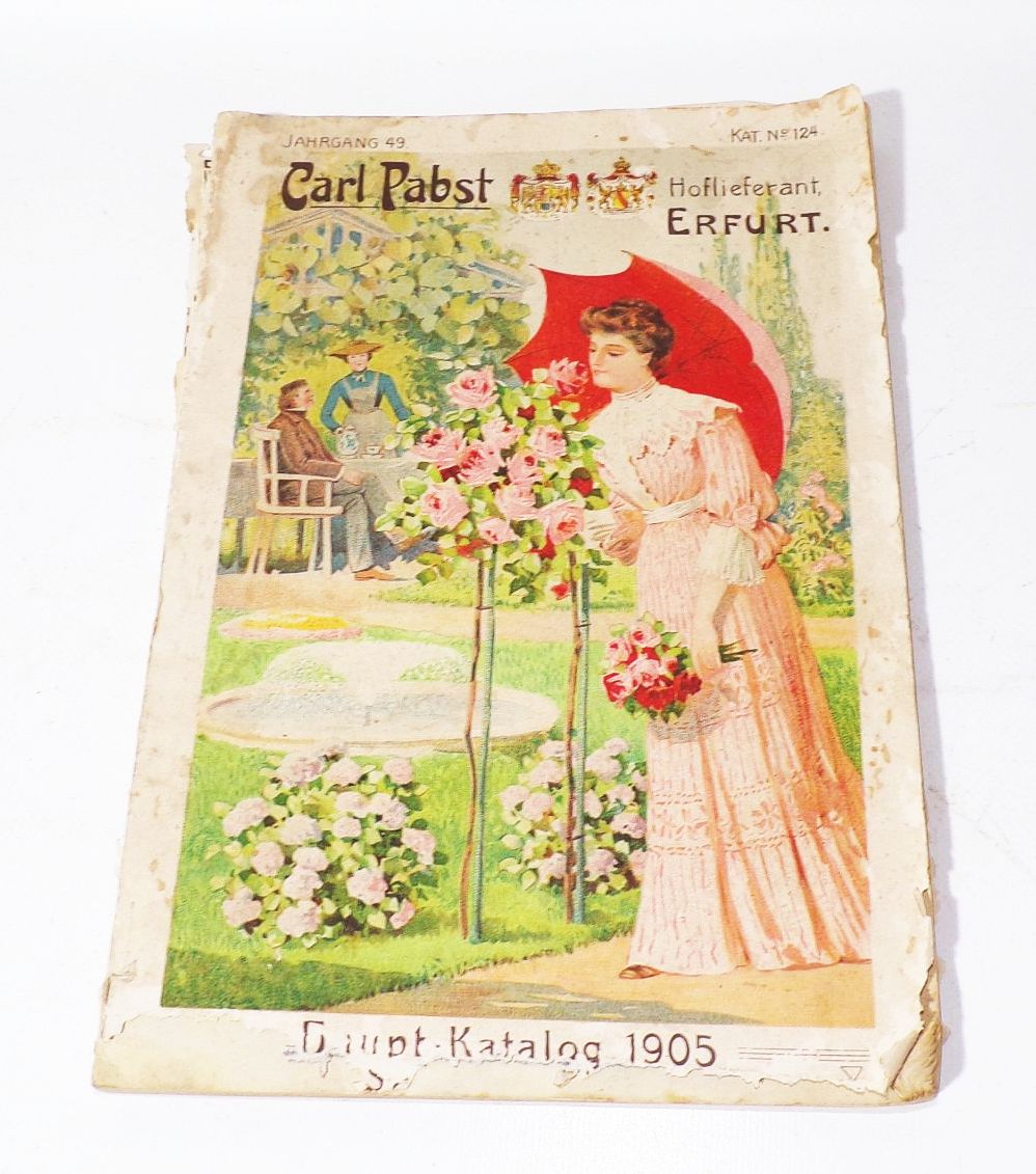 Katalog Carl Pabst Erfurt Blumen Gemüse Saatgut 1905 