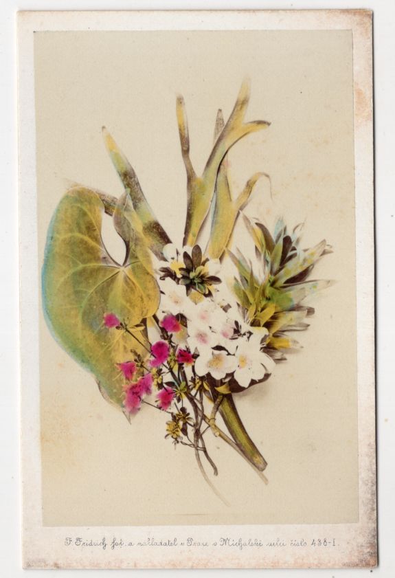 CdV Foto Blumen Arrangement František Fridrich Prag um 1880 koloriert