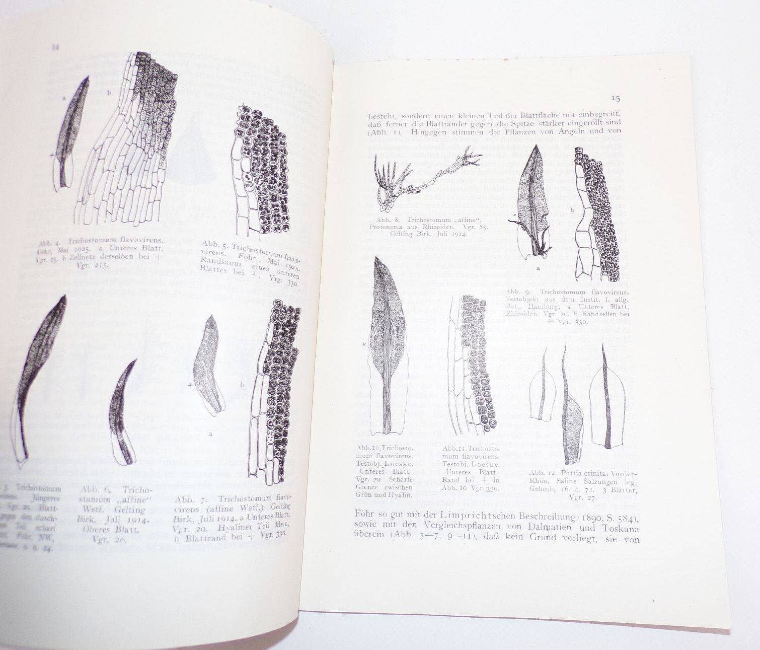 Insel Föhr Friesen Museum Jahrfeier Kulturgeschichte Urkunden Moose Biologie 1926