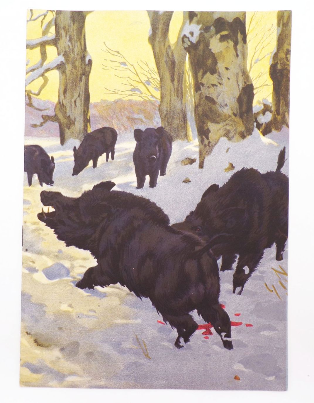 Tierpark Zeitung Hellbrunn München Franz Jung Ilsenheim Dezember 1935 Zoo