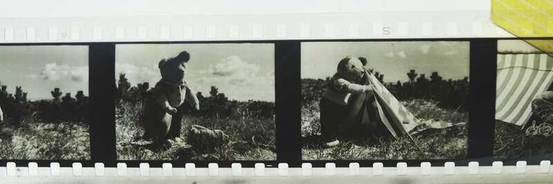 Imago Rollfilm Teddy 5 Stück Diafilm Fischzug Camping Waldwanderung