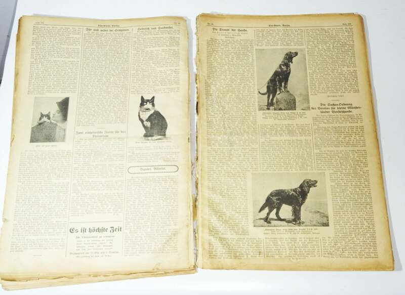 Geflügel Börse 1911 Tier Börse 1912 gebundene Zeitschrift Tierzucht 