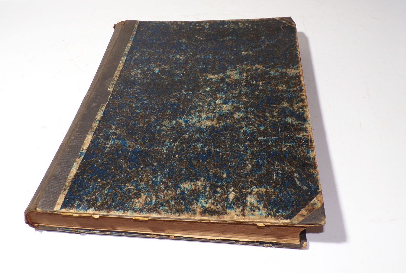 Der praktische Ratgeber im Ost und Gartenbau 1890 