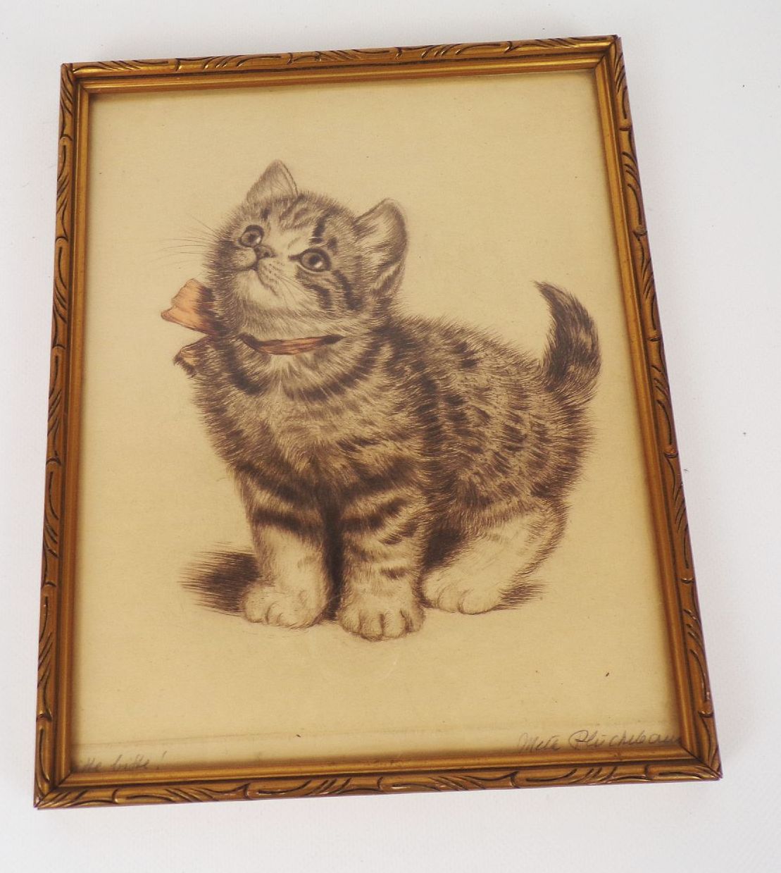 Meta Plückebaum Bitte Bitte Druck Katze Bilderrahmen