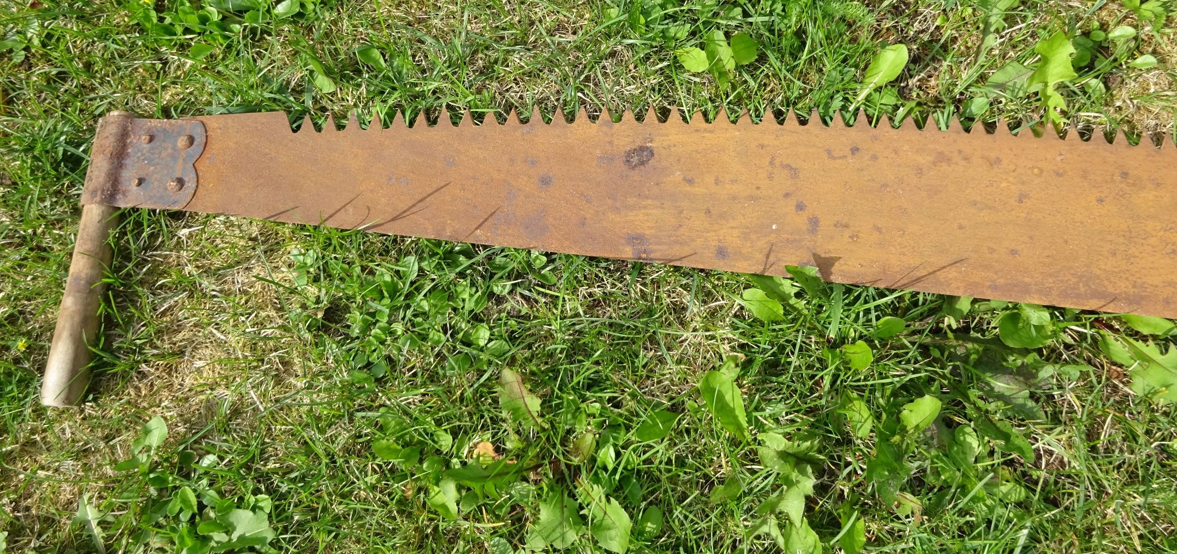 Alte Schrotsäge 129 cm Holzsäge Hochzeitsäge Zweimannsäge Hochzeit Alte Schrotsäge 129 cm Holzsäge Hochzeitsäge Zweimannsäge Hochzeit