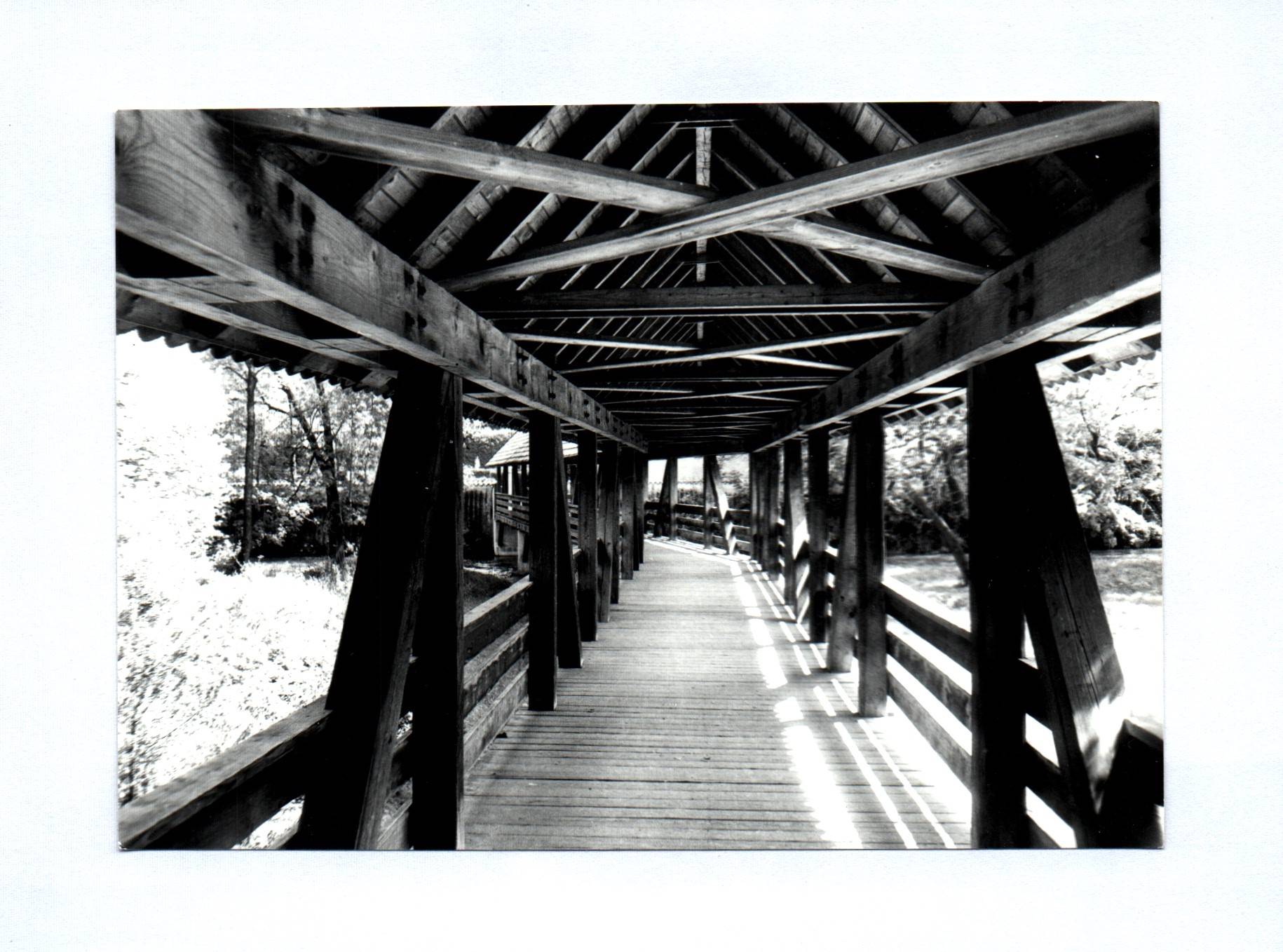 7x Foto München Obermenzing überdachte Holzbrücke 1966