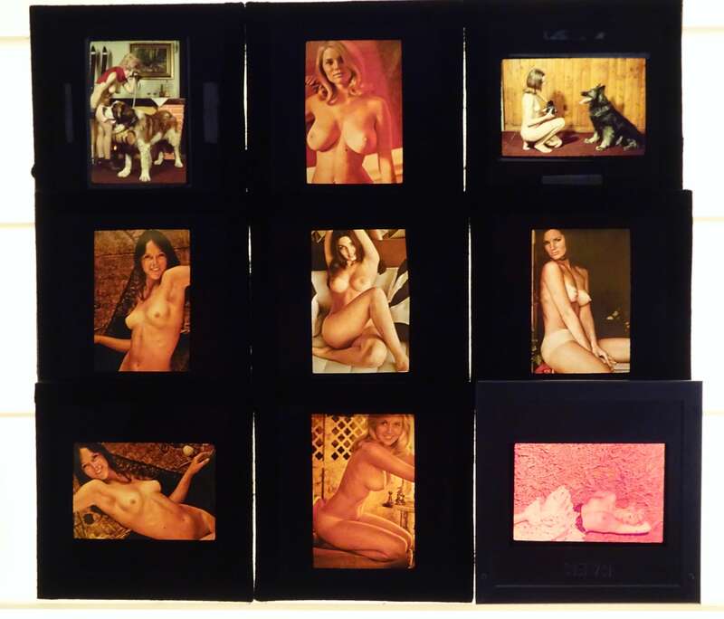 Akt Dia 85 Stück Farbdias nackte Frauen Erotik Nude Naked DDR Glasdia
