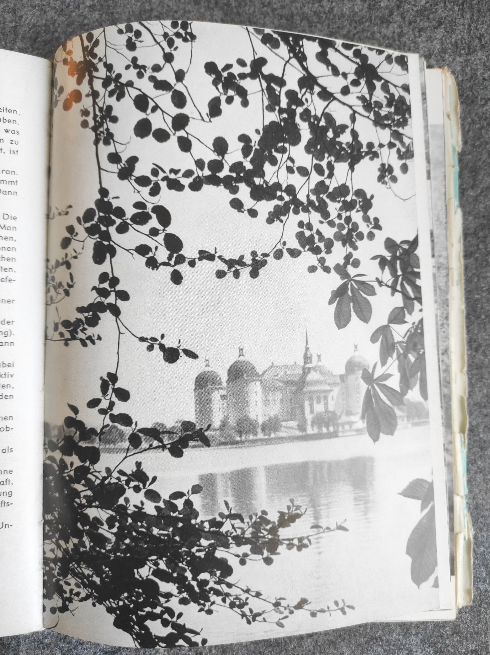 Rofer Rössing Fotografie mit der Praktica 1959 Rofer Rössing Fotografie mit der Praktica 1959