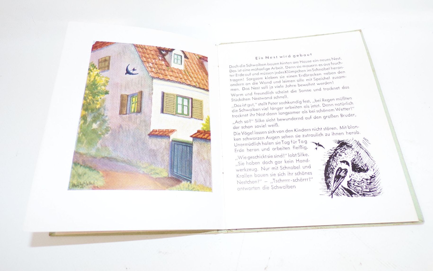 Schwälbchen Zoe Droysen Franz Schneider Verlag 1942 Schwalben Kinderbuch