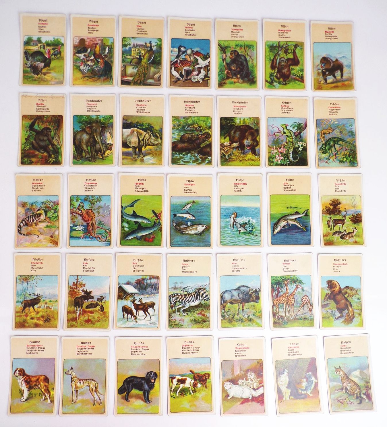 Tier Quartett Spear und Söhne Nürnberg Kartenspiel um 1910