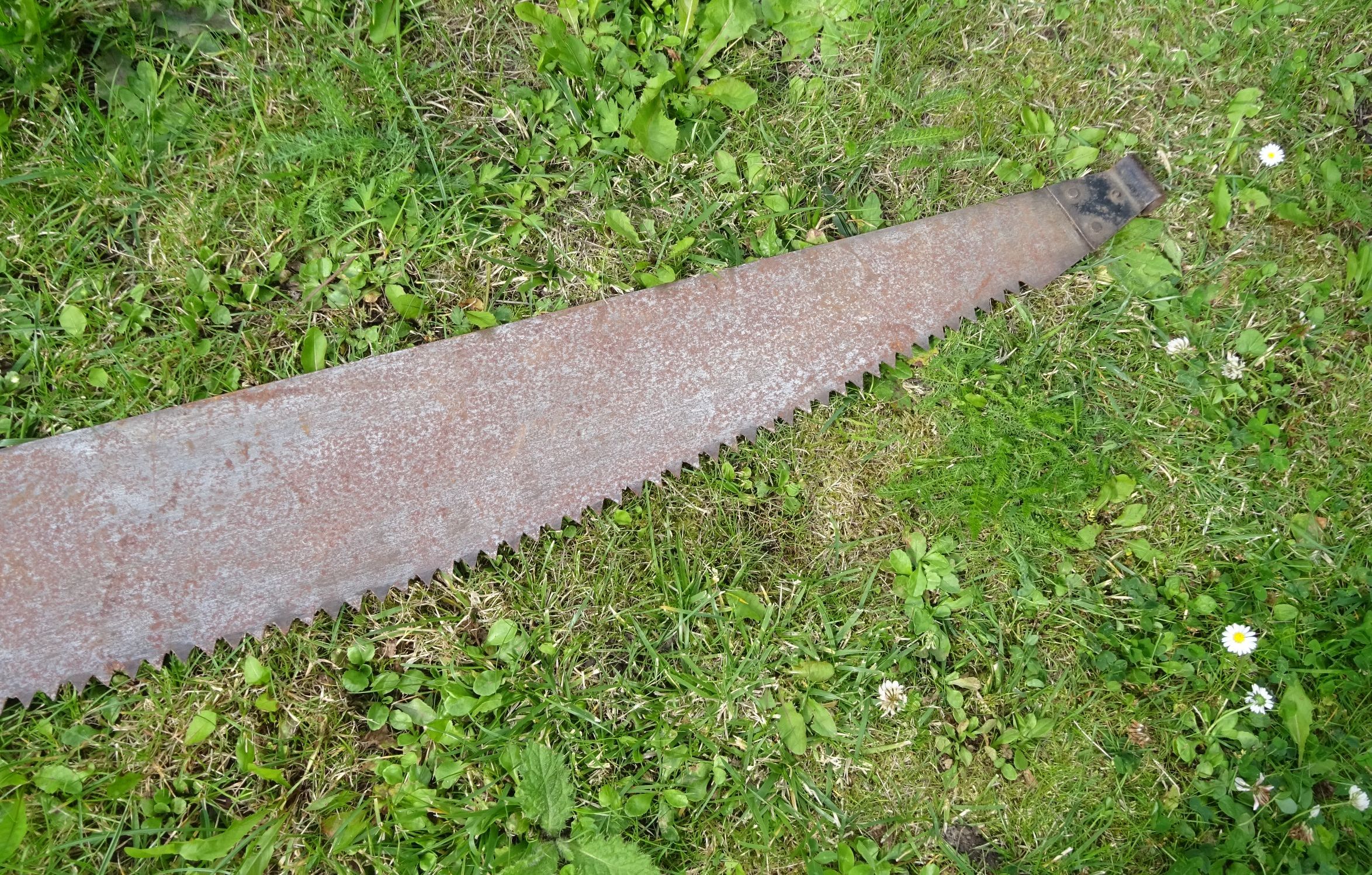 Alte Schrotsäge Hochzeit Zweimannsäge 129 cm Holzsäge vintage Alte Schrotsäge Hochzeit Zweimannsäge 129 cm Holzsäge vintage