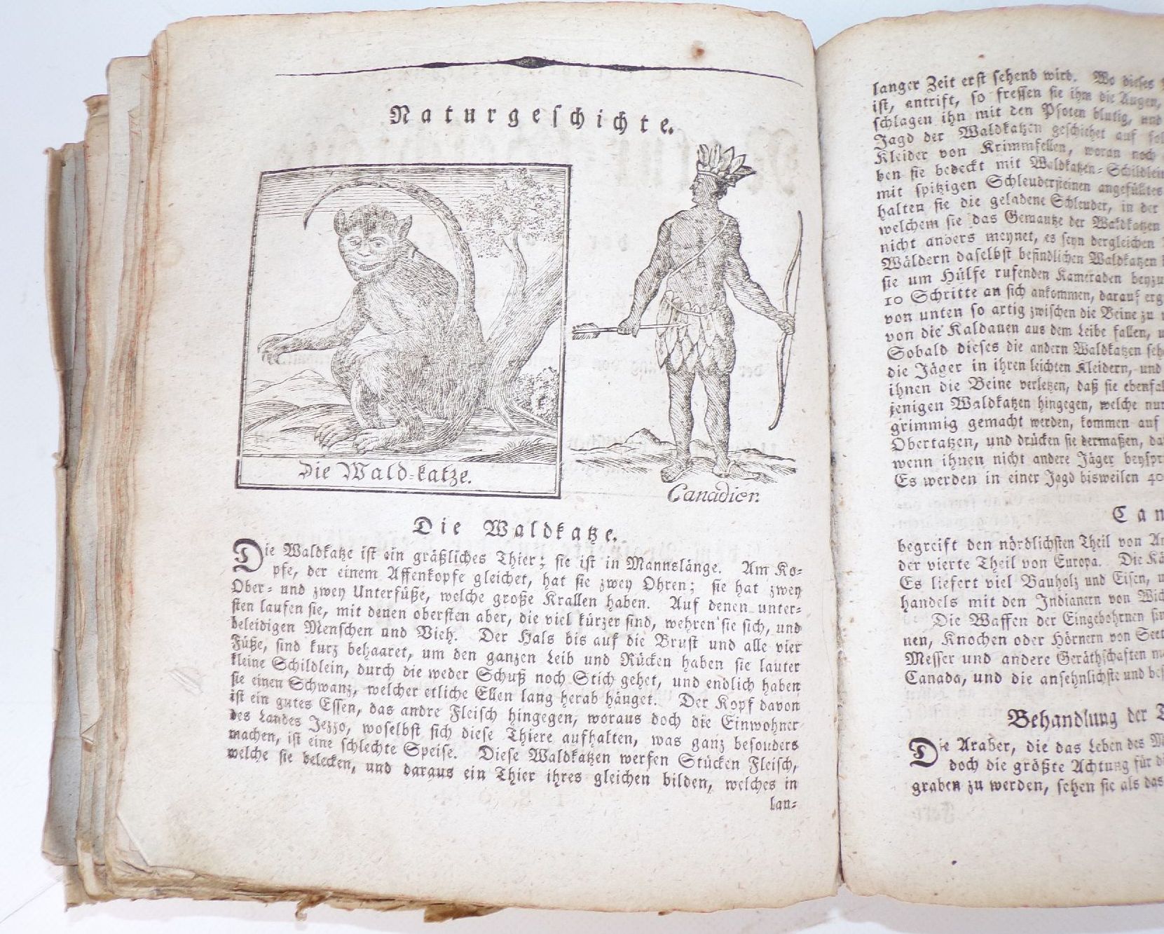 Antikes Buch Napoleon Hochwasser Merkwürdige Begebenheiten 1810 Kupfer Antikes Buch Napoleon Hochwasser Merkwürdige Begebenheiten 1810 Kupfer