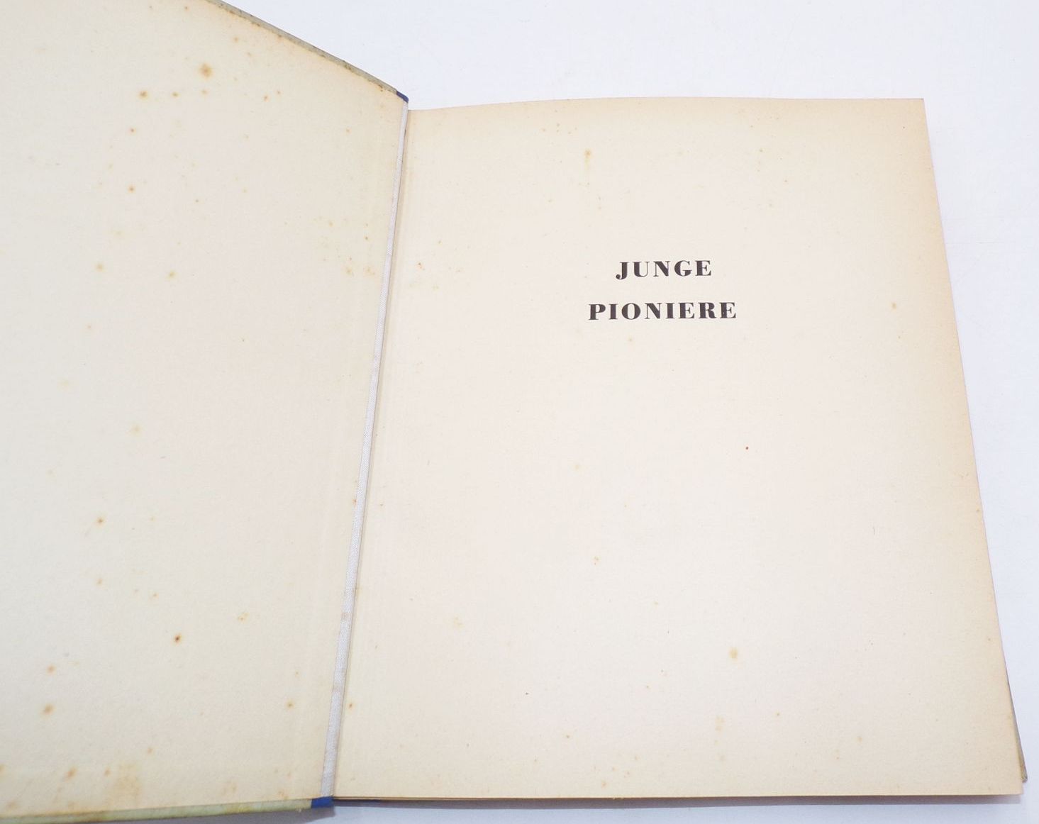 Altes Sammelbilderalbum Junge Pioniere 1957 VEB Volkskunstverlag Reichenbach Altes Sammelbilderalbum Junge Pioniere 1957 VEB Volkskunstverlag Reichenbach