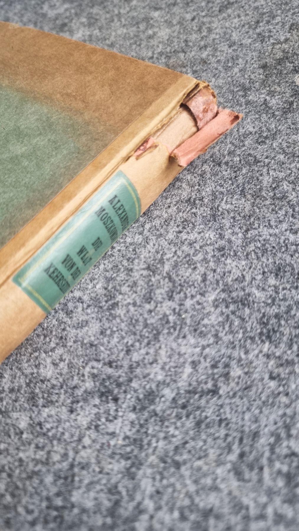 Die Welt von der Kehrseite Alexander Moszkowski 1920 altes Buch Die Welt von der Kehrseite Alexander Moszkowski 1920 altes Buch