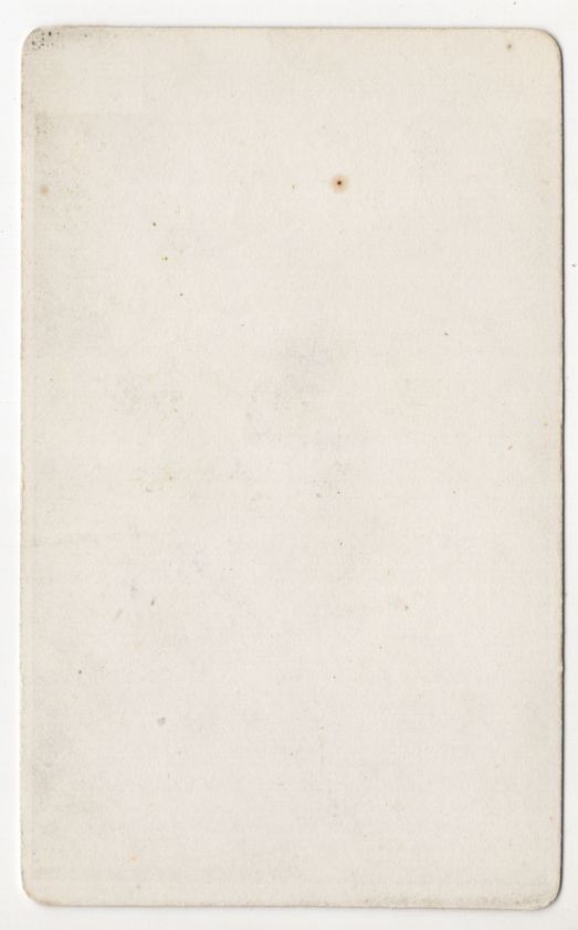 CDV Foto Blumen Bukett Krokusse um 1880 koloriert CDV Foto Blumen Bukett Krokusse um 1880 koloriert