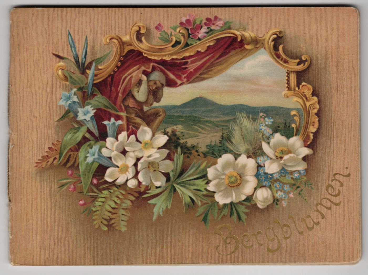 Bergblumen Bilder und Lieder aus dem Riesengebirge Winkler Gerlach Baer 1900er Bergblumen Bilder und Lieder aus dem Riesengebirge Winkler Gerlach Baer 1900er