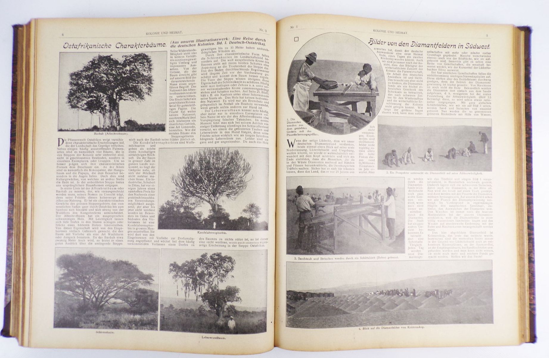 Kolonie und Heimat in Wort und Bild 1908 bis 1910