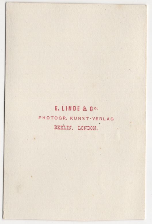 CdV Foto bastardartige Gloxine Blume um 1880 koloriert Brasilien Pflanze Botanik 