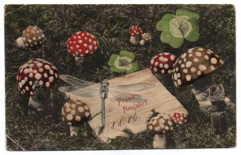 Litho Ak Fliegenpilze Libelle Käfer Prosit Neujahr 1905
