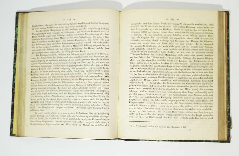 Versuch einer Darstellung des Nervensystems Gehirns Carus 1814 Kupfer