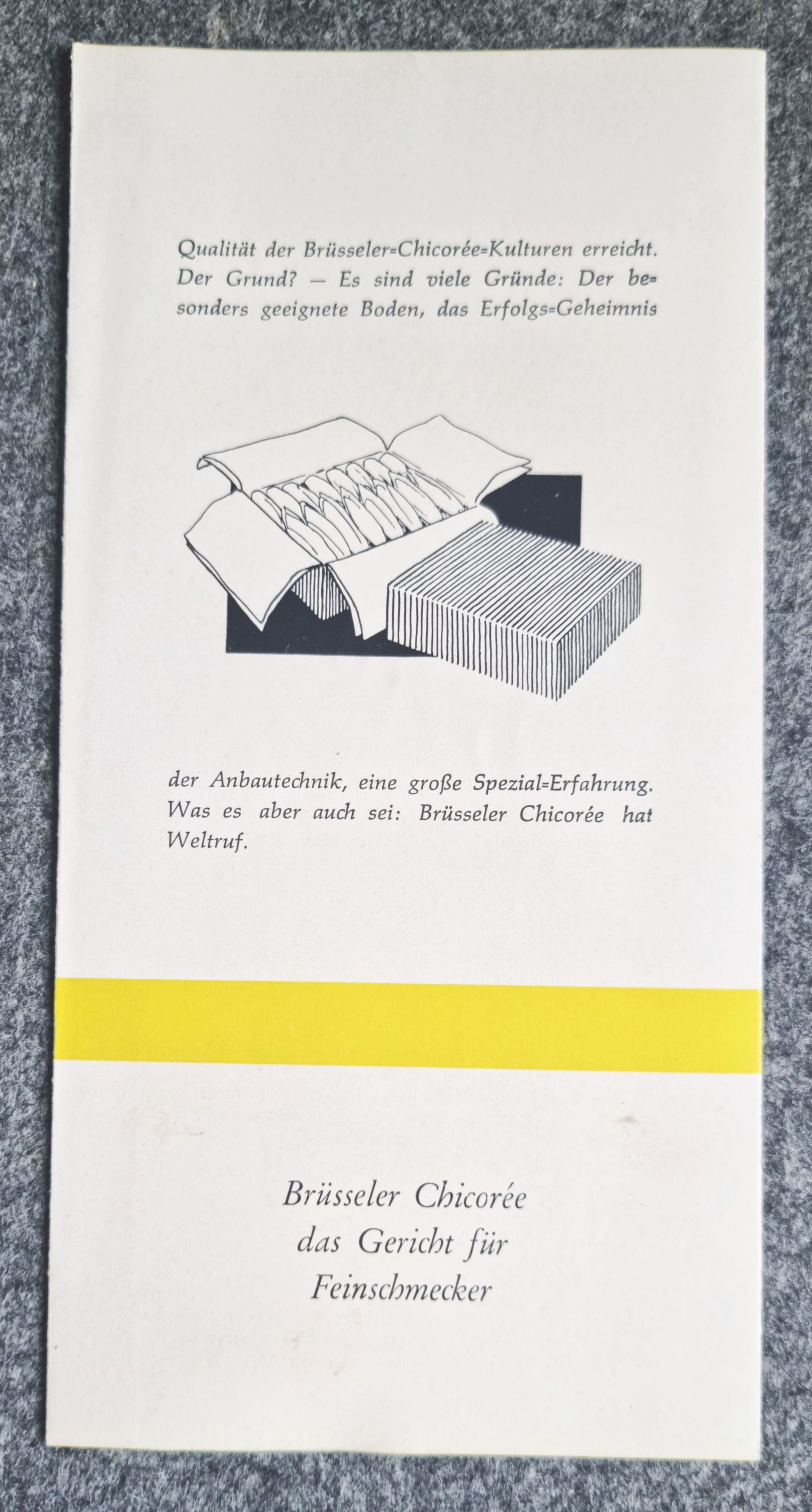 Prospekt Chicoree aus Belgien alter Broschüre das Gericht der Feinschmecker Prospekt Chicoree aus Belgien alter Broschüre das Gericht der Feinschmecker
