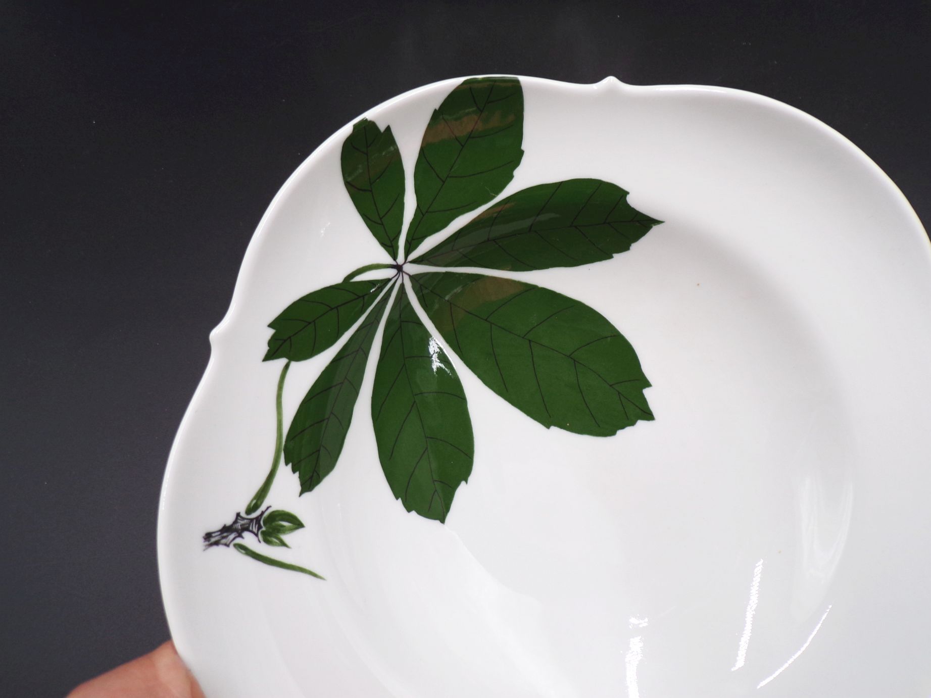 Meissen Suppenteller 2 Wahl Dekor Kastanie Laub 2 Stück 