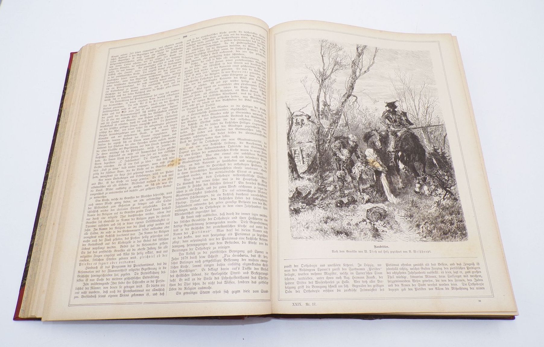 Die Gartenlaube 1881 Jahrgang komplett Illustriertes Familienblatt Buch