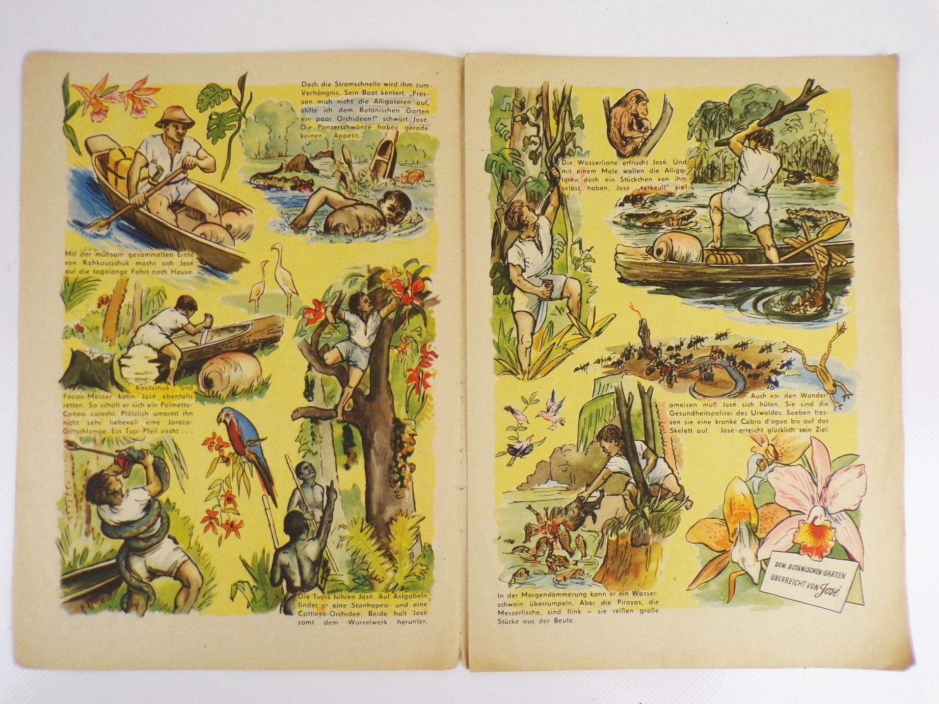 Atze Zeitschrift 10 von 1956 Orchideenjagd am Amazonas Der junge Pionier 