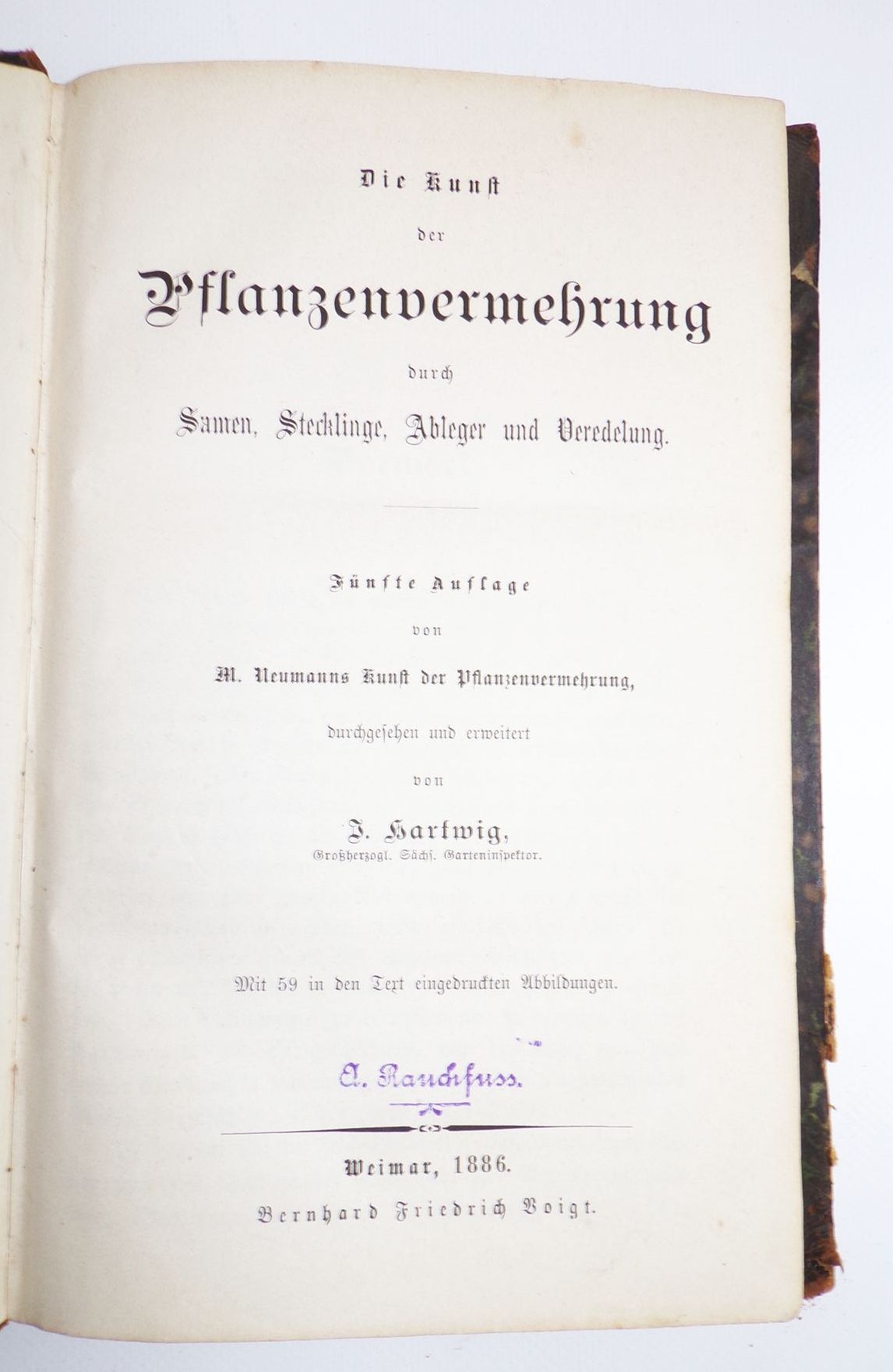 Die Kunst der Pflanzenvermehrung Hartwig 1886 Biologie Buch 