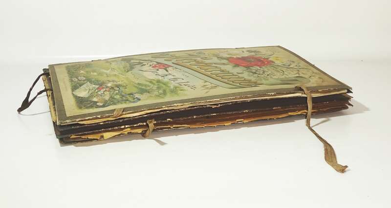 Herbarium um 1890 mit Etiketten Botanik Flora Pflanzen 