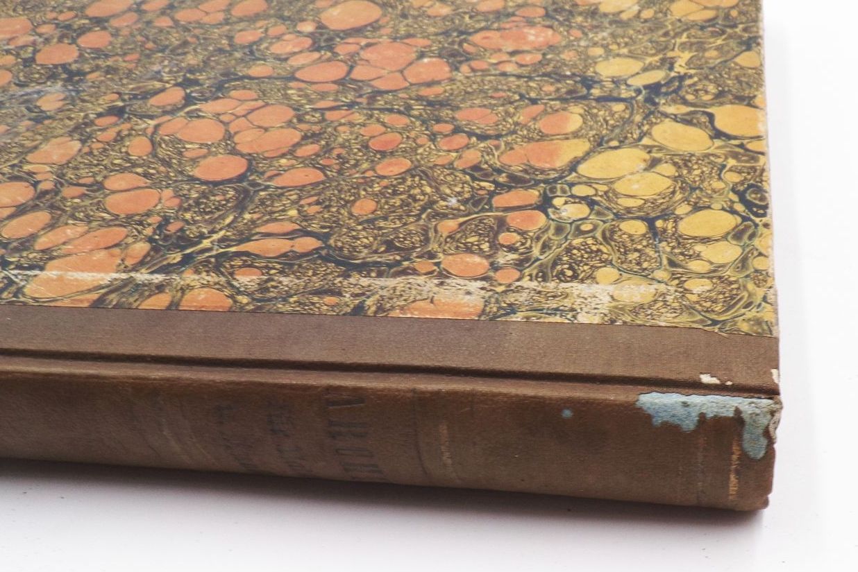 Archiv für Natur Kunst Wissenschaft und Leben 1841 Stahlstiche 