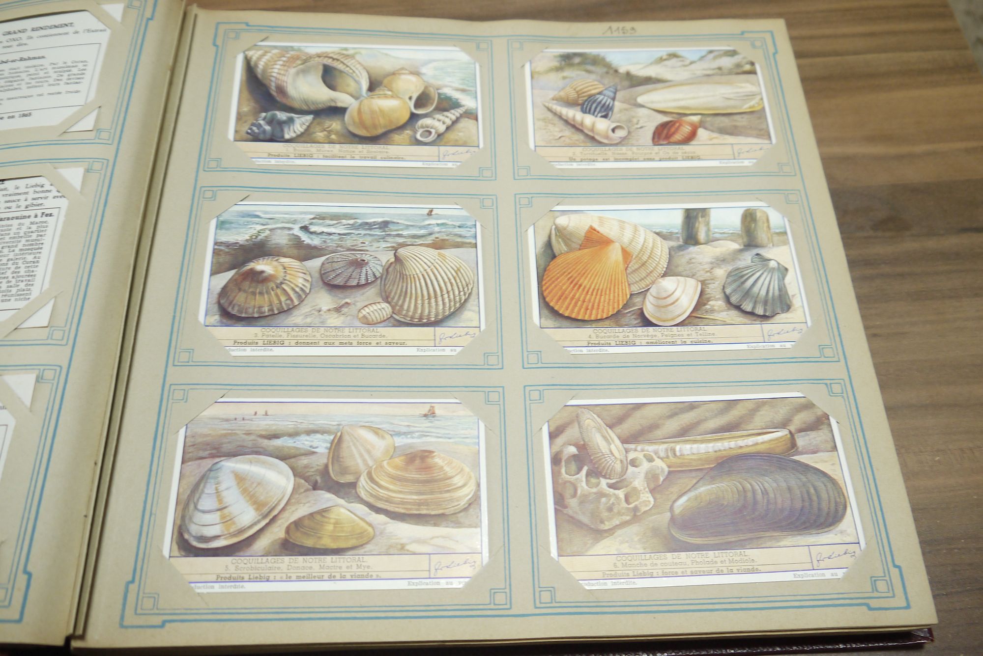 Liebig Chromo Album Sammelbilderalbum ca 52 Seiten 312 Karten Sammelbilder