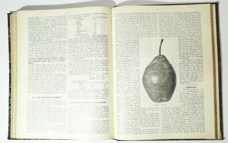 Der praktische Ratgeber im Obst und Gartenbau 1898 Garten Gärtner Obstbau