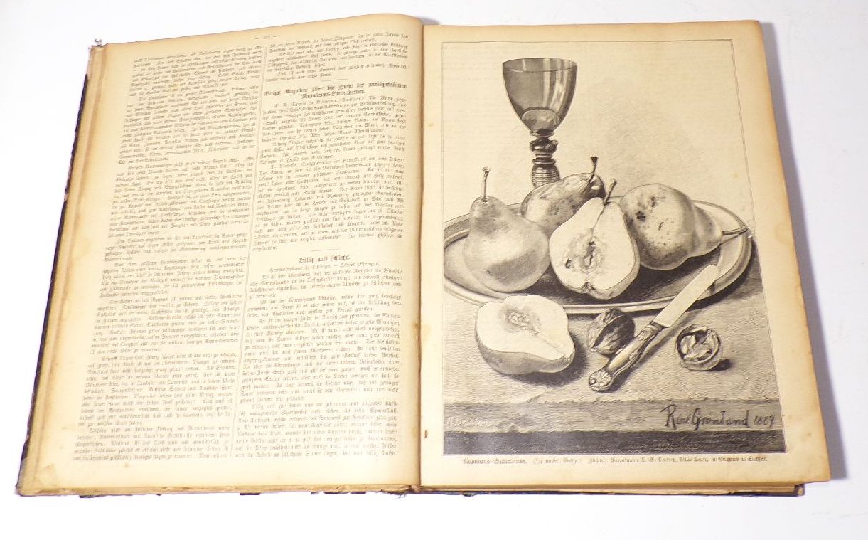 Der praktische Ratgeber im Ost und Gartenbau 1890 