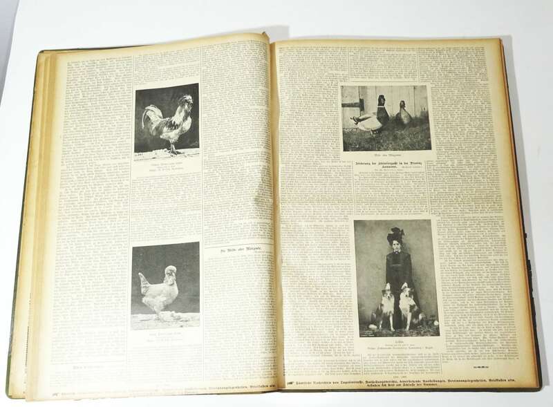 Geflügel Börse 1911 Tier Börse 1912 gebundene Zeitschrift Tierzucht 