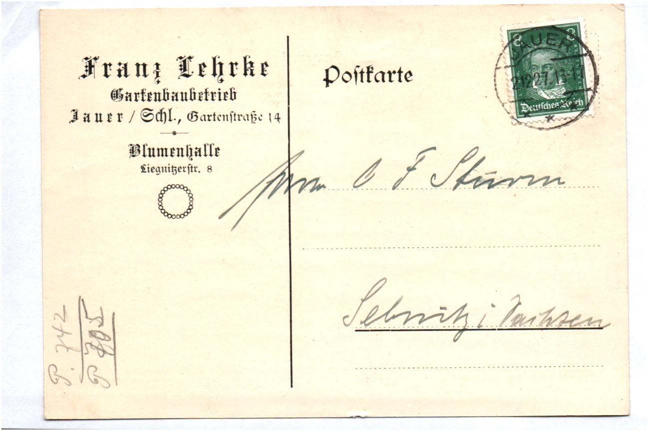 Alte Postkarte Franz Lehrke Gartenbau Betrieb Jauer Schlesien 1927 Alte Postkarte Franz Lehrke Gartenbau Betrieb Jauer Schlesien 1927