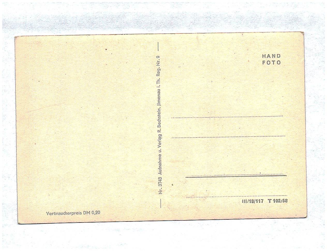 Ak Neustadt Rennsteig Wald Kirche Kühe Ak Neustadt Rennsteig Wald Kirche Kühe