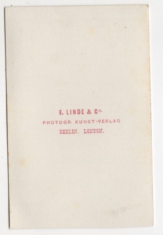 CdV Foto Schlangenkraut Buchweizen Calla Blume um 1880 koloriert Blumenbukett CdV Foto Schlangenkraut Buchweizen Calla Blume um 1880 koloriert Blumenbukett