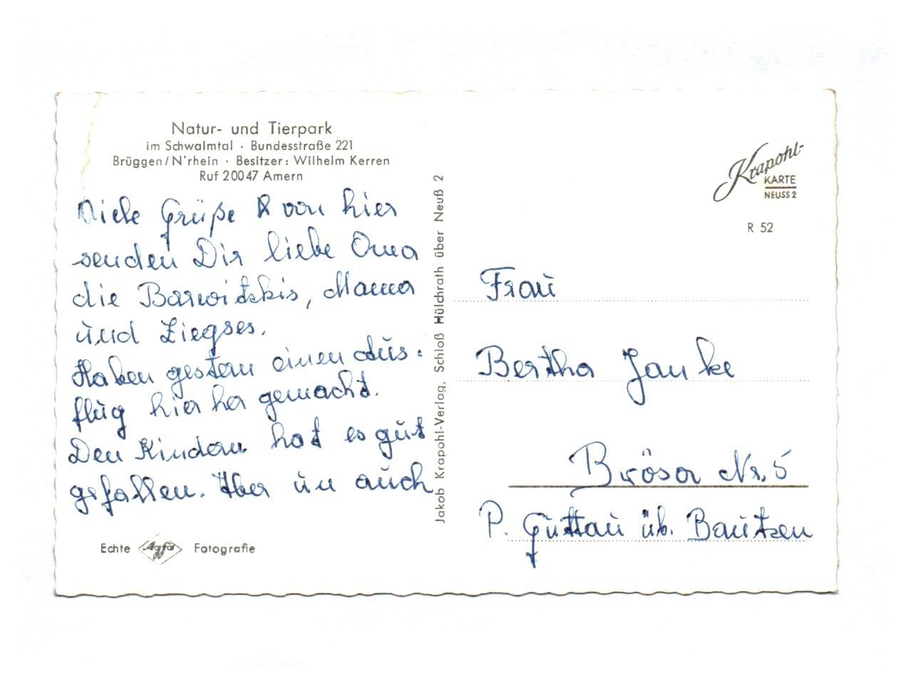 Ak Natur und Tierpark im Schwalmtal Damwildgruppe Kinderparadies Parkpartie Ponygatter Ak Natur und Tierpark im Schwalmtal Damwildgruppe Kinderparadies Parkpartie Ponygatter