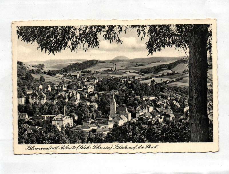 Ak Blumenstadt Sebnitz Sächsische Schweiz Blick auf die Stadt 1941