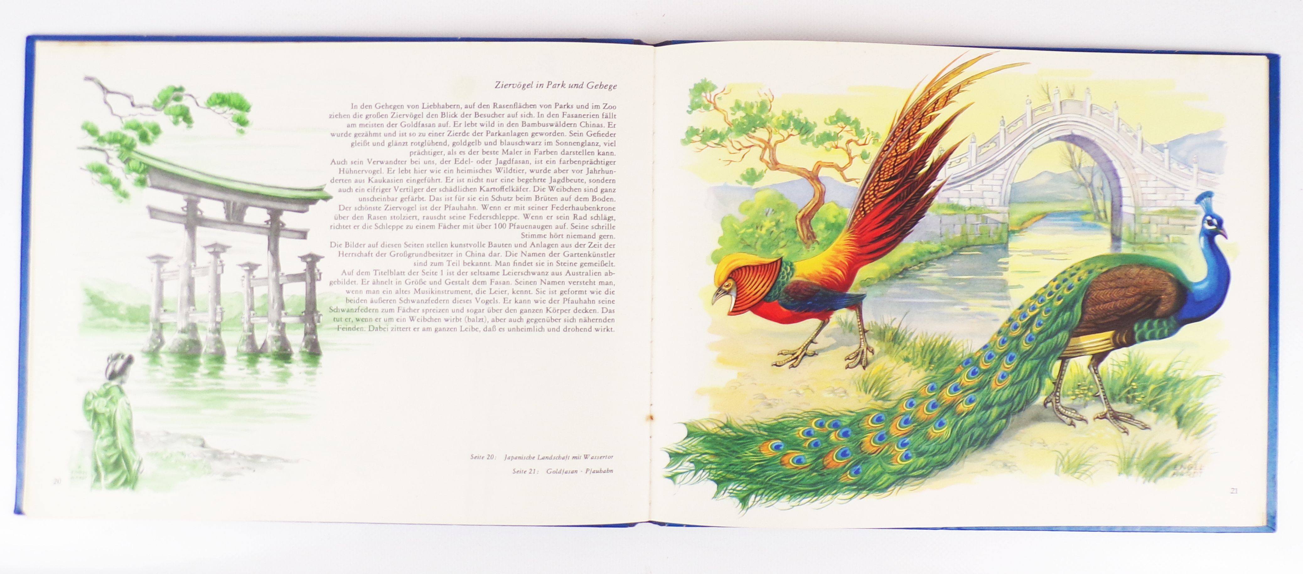 Wunder der Natur Ein Pädagogisches Bildbuch DDR Klassiker Wunder der Natur Ein Pädagogisches Bildbuch DDR Klassiker