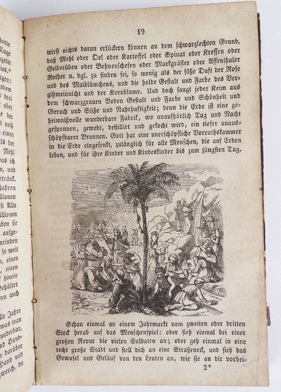 Compass für Leben und Sterben Kalender für Zeit und Ewigkeit 1843 1844 und 1859 