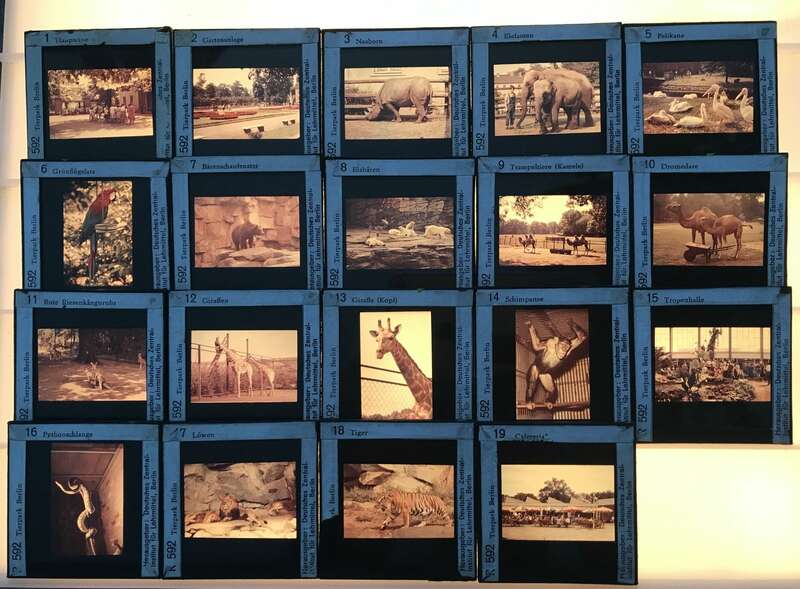 Foto Lehrmaterial Glasdias Länder Lehrmittel Sowjetunion DDR Deutschland Dias