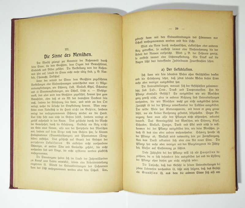 Unterrichtsbuch über die Natürliche Erklärung des Hypnotismu um 1910 !