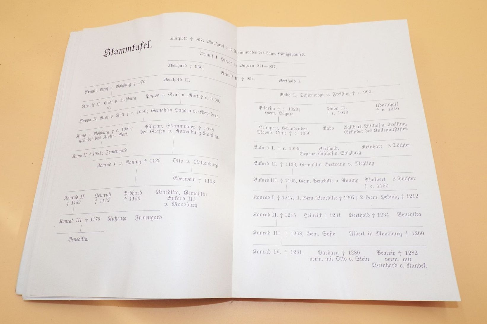 Geschichte der Stadt Moosburg 1902 Geschichte der Stadt Moosburg 1902