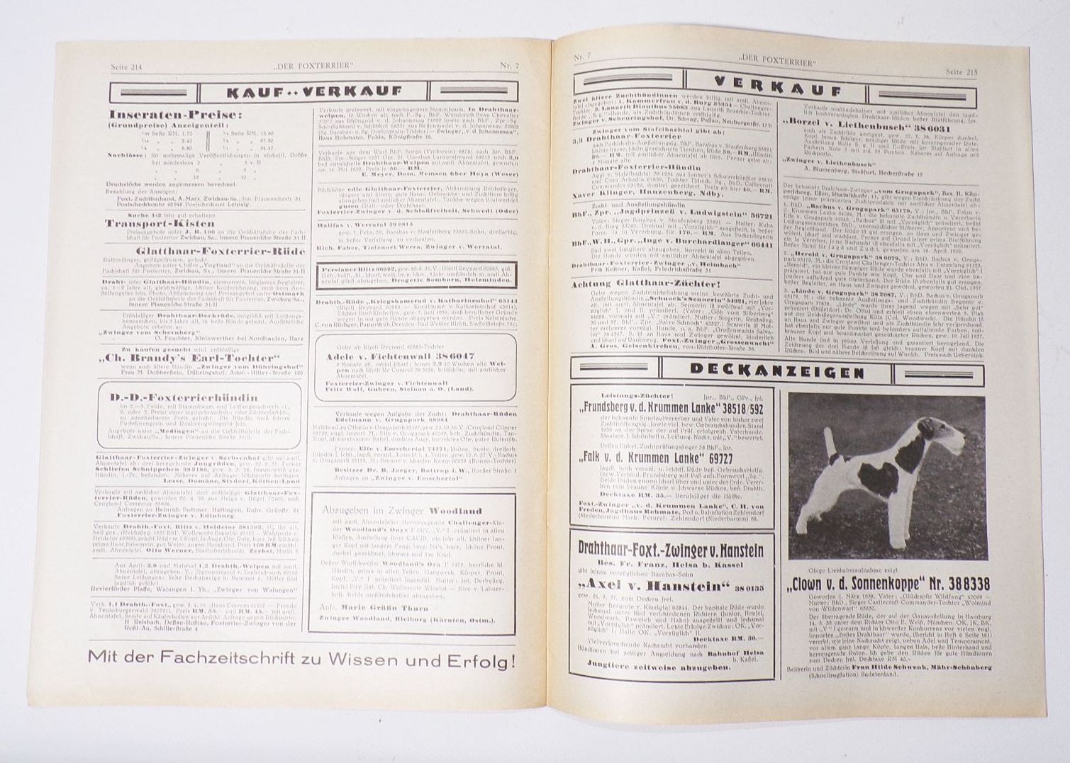 Der Foxterrier Fachschaft Zeitschrift Hunde 1939 