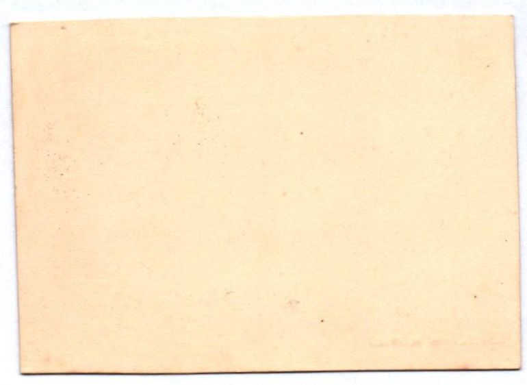 CDV Foto Neuwied Hochwasser Fotografie um 1880 CDV Foto Neuwied Hochwasser Fotografie um 1880